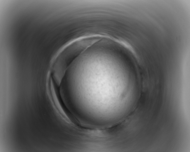 X0000088901524200706151838