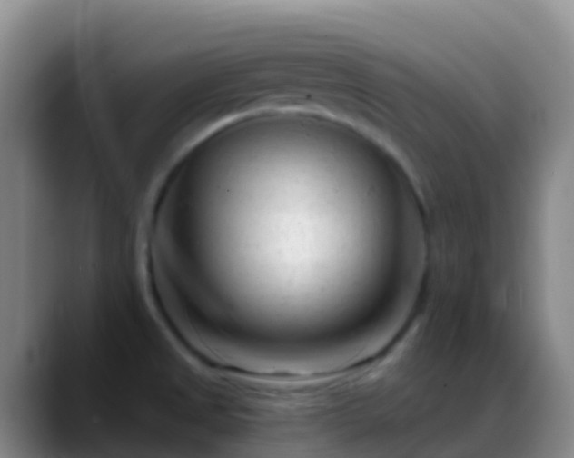 X0000088901525200706151838