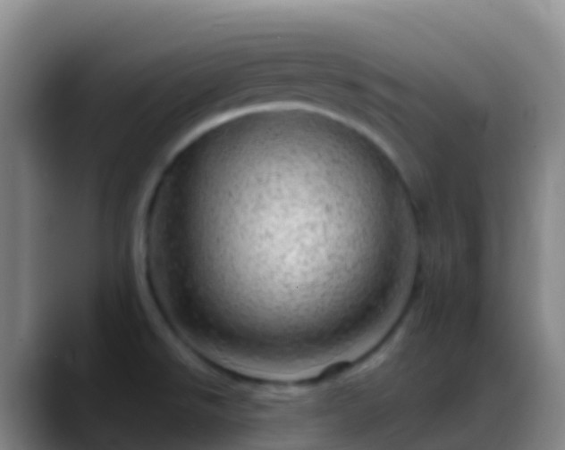 X0000088901526200706151838