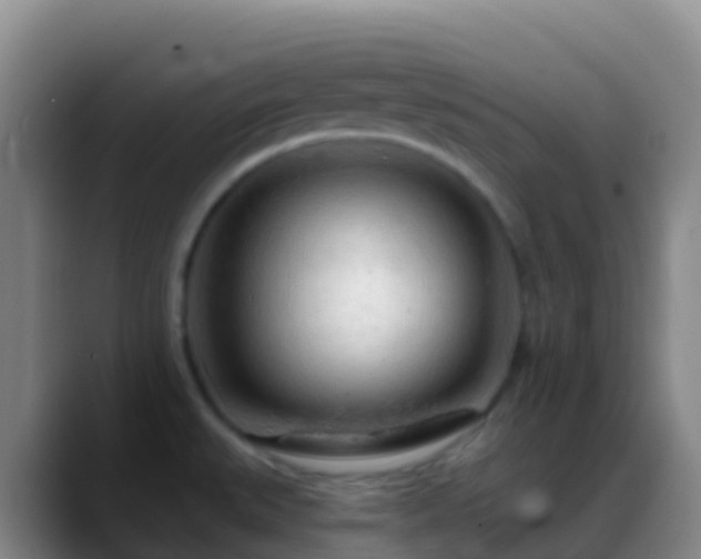 X0000088901527200706151838
