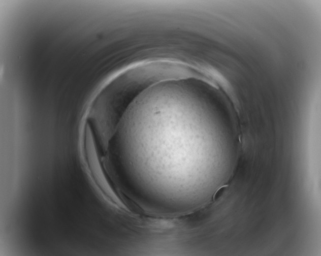 X0000088901528200706151838