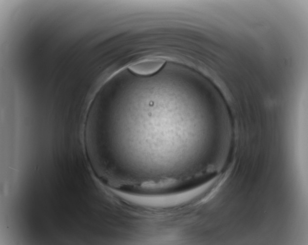 X0000088901529200706151838