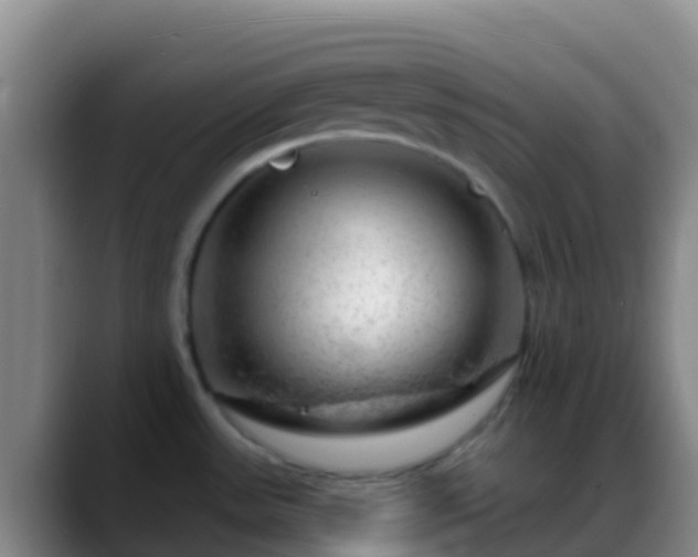 X0000088901531200706151838