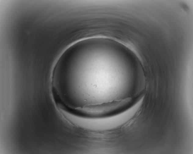 X0000088901532200706151838