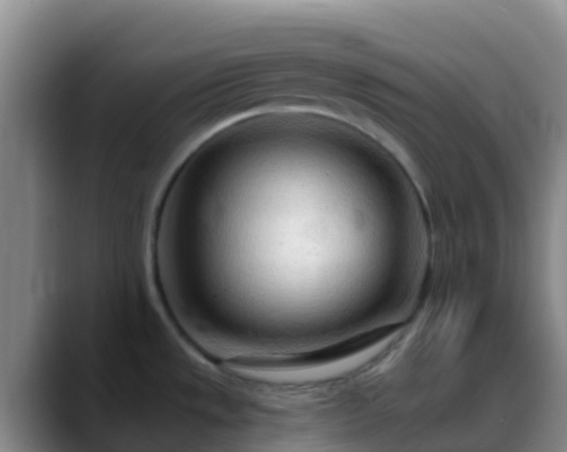 X0000088901533200706151838