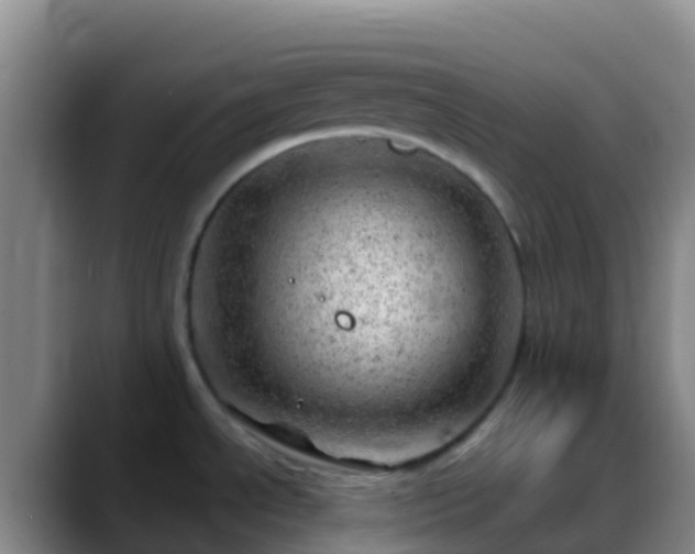 X0000088901534200706151838