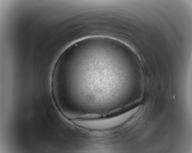 X0000088901535200706151838