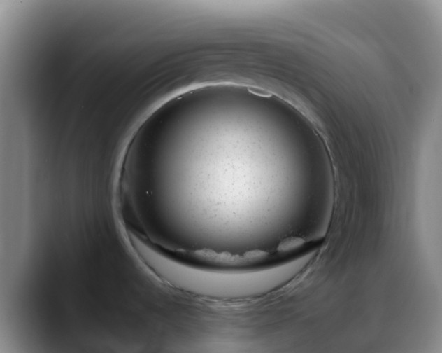 X0000088901536200706151838