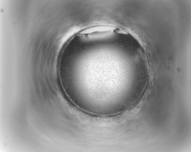 X0000088900008200706221916