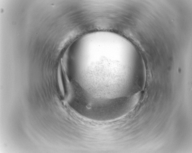 X0000088900019200706221916