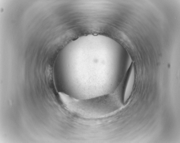 X0000088900029200706221916