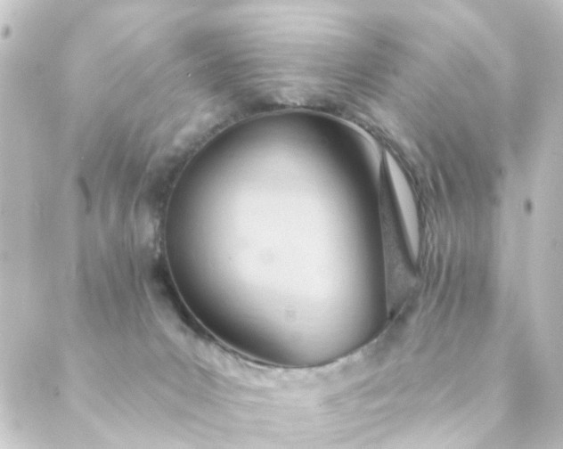 X0000088900031200706221916