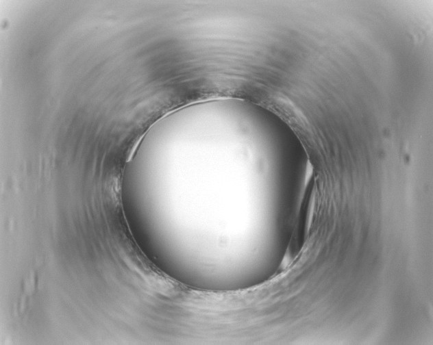 X0000088900045200706221915