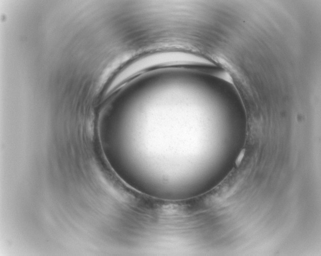 X0000088900064200706221915