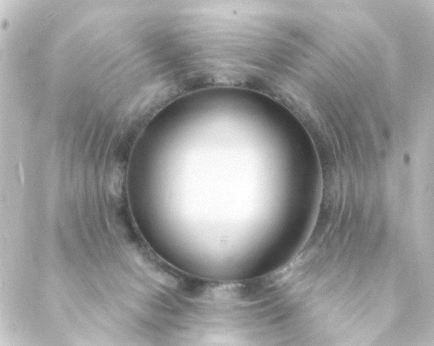 X0000088900078200706221915