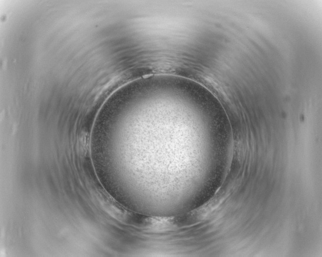 X0000088900093200706221915
