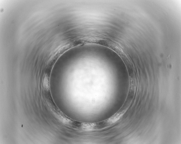 X0000088900143200706221914