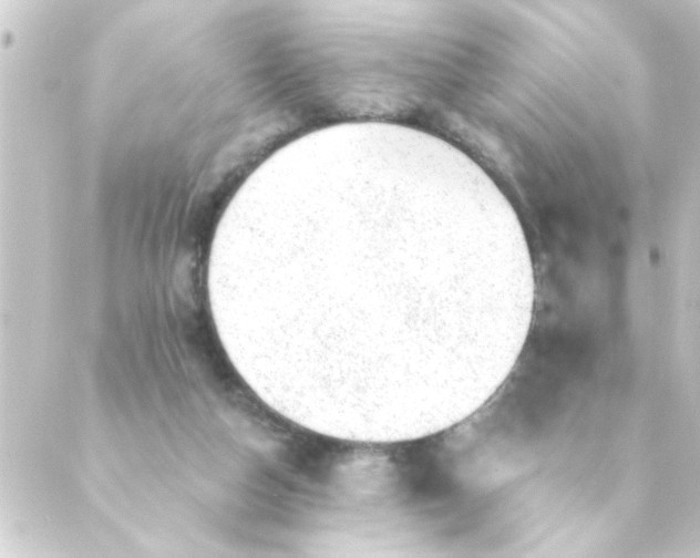 X0000088900162200706221913