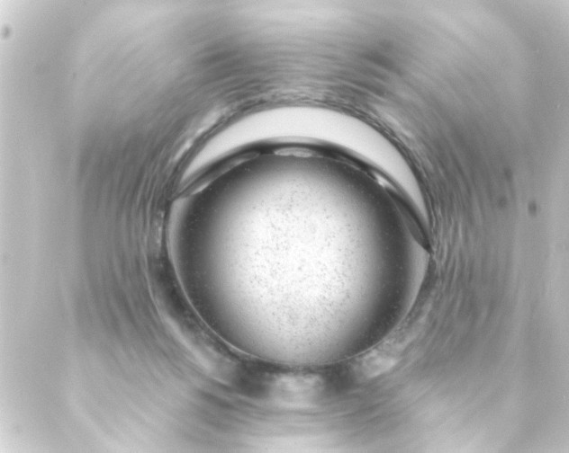 X0000088900168200706221913