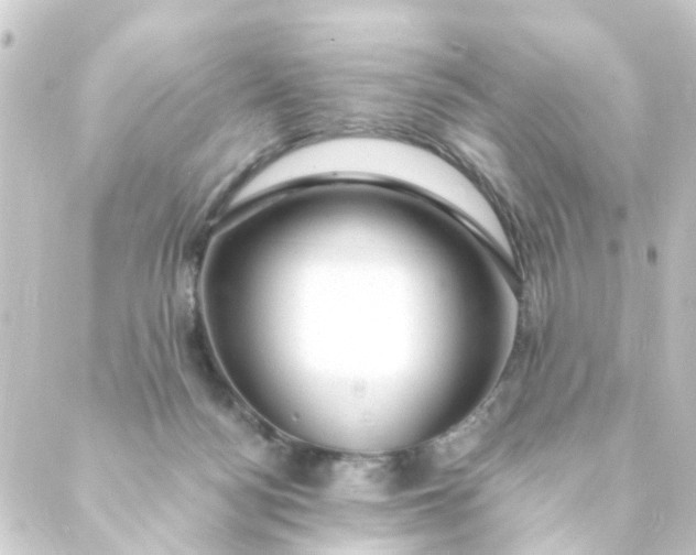 X0000088900172200706221913
