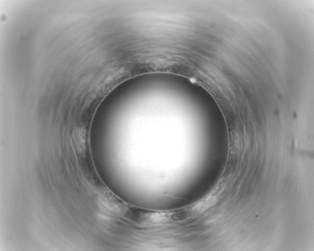 X0000088900184200706221914
