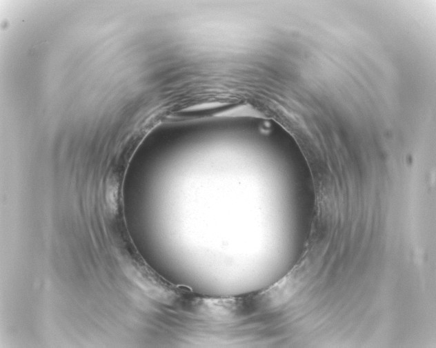 X0000088900188200706221914
