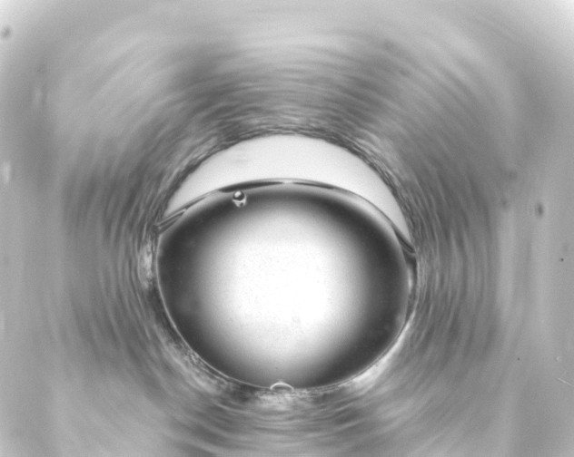 X0000088900190200706221914