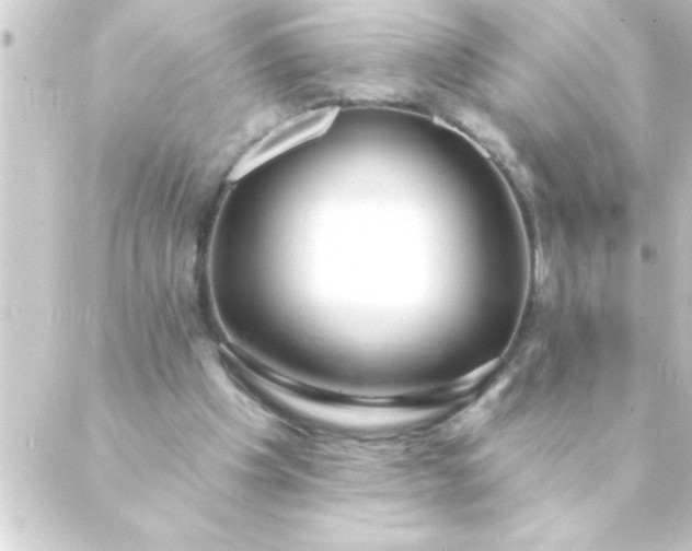 X0000088900201200706221913
