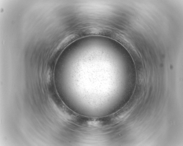 X0000088900216200706221913