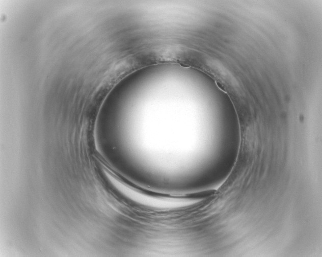 X0000088900217200706221913