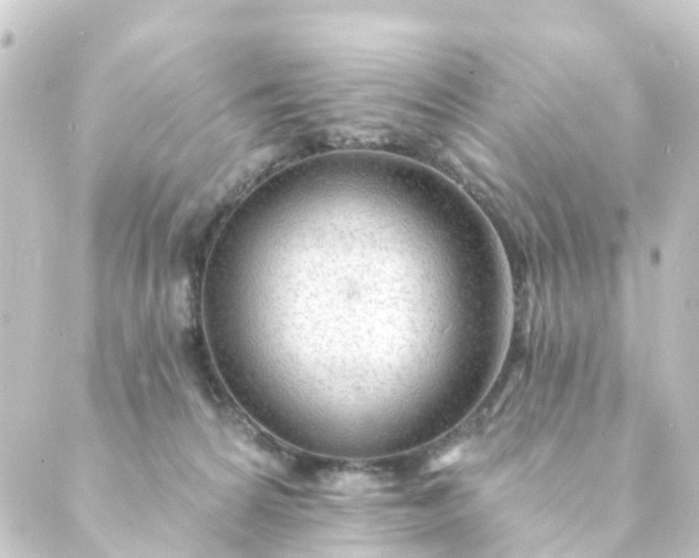 X0000088900224200706221912