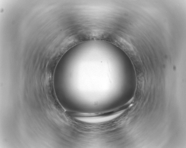 X0000088900225200706221912