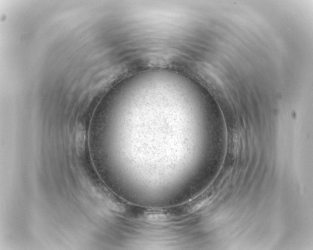 X0000088900228200706221912