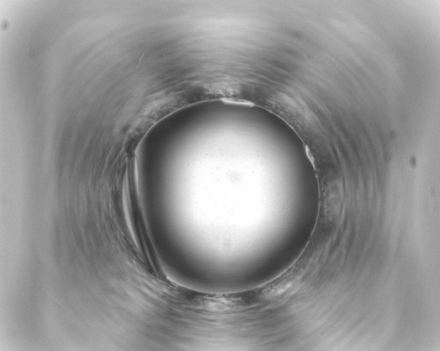 X0000088900229200706221912