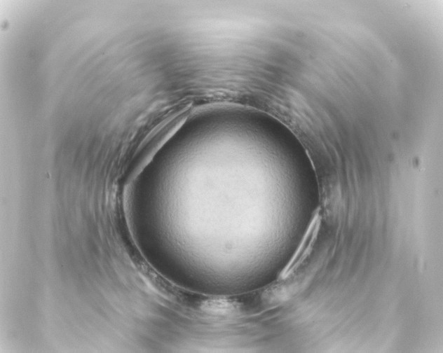 X0000088900231200706221912