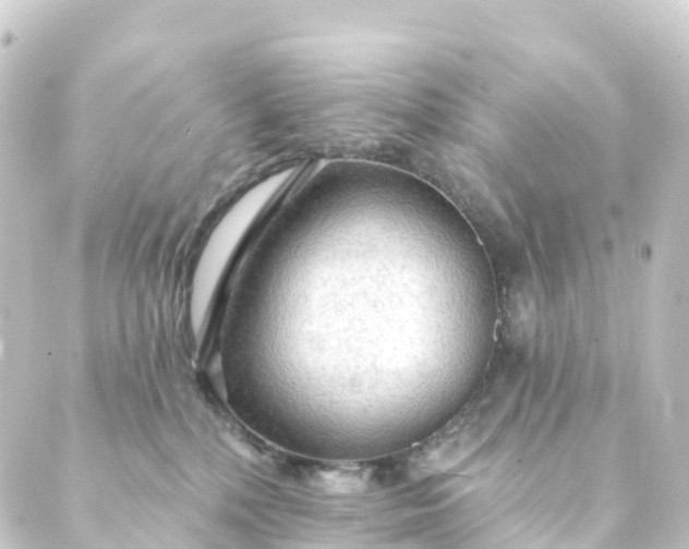 X0000088900232200706221912