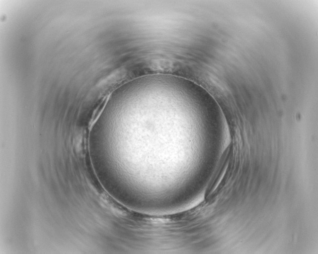 X0000088900233200706221912