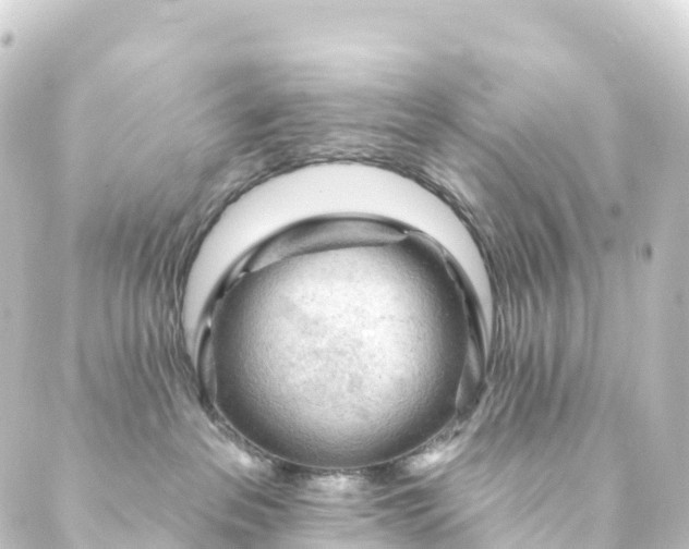 X0000088900237200706221912