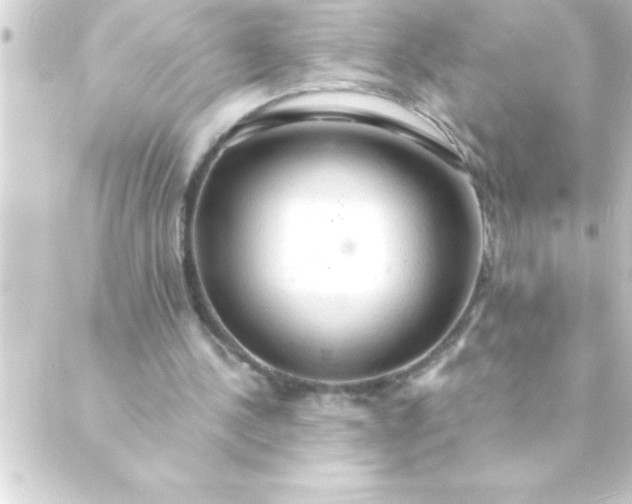 X0000088900244200706221911