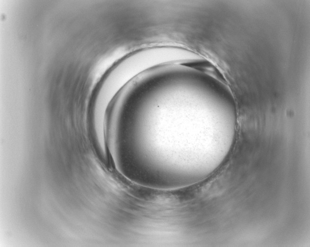 X0000088900248200706221912
