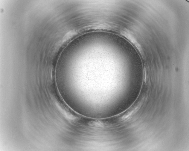 X0000088900253200706221912