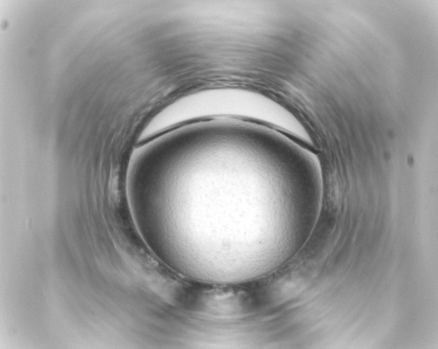 X0000088900267200706221912