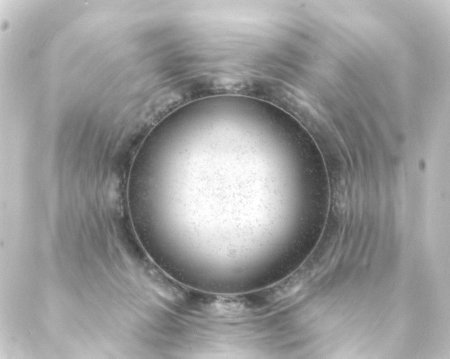 X0000088900270200706221912