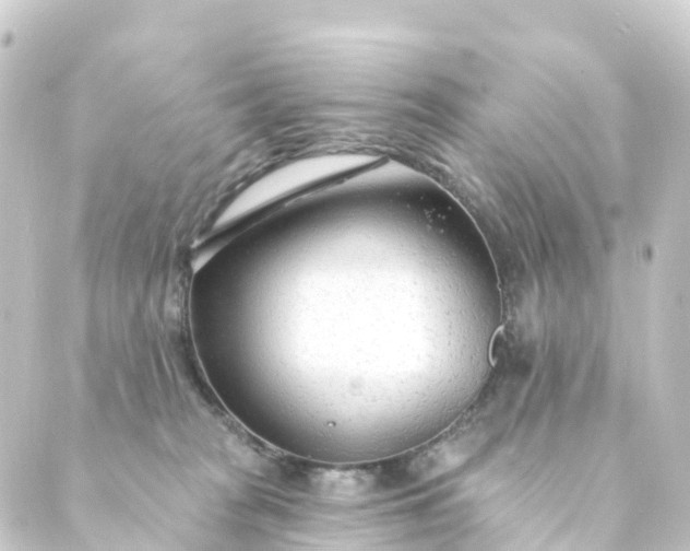 X0000088900277200706221912