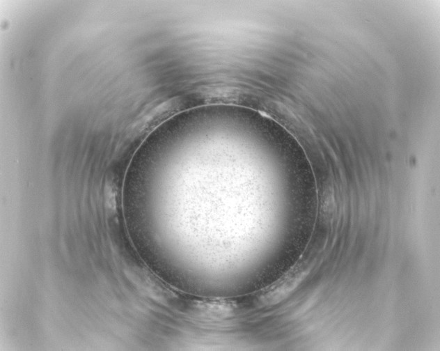 X0000088900282200706221912