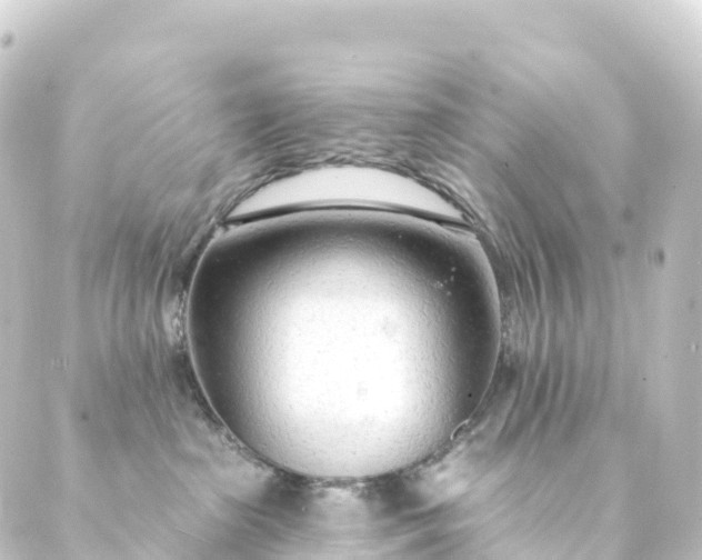 X0000088900285200706221912