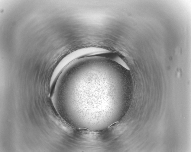 X0000088900288200706221912