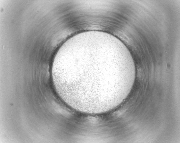 X0000088900302200706221911