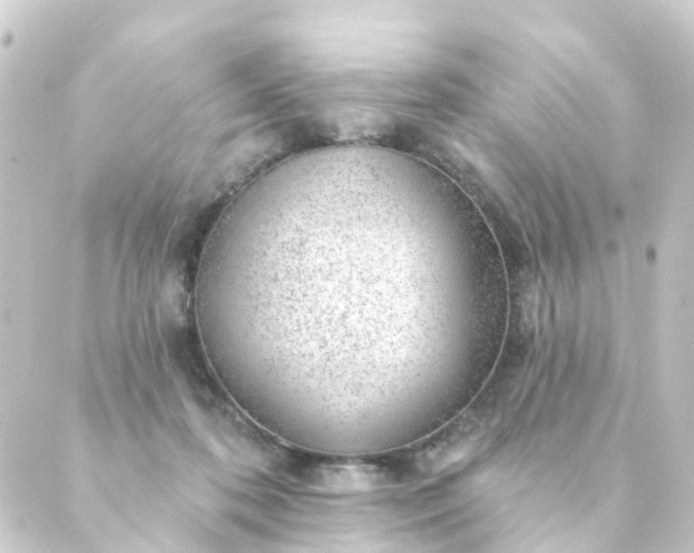 X0000088900316200706221911