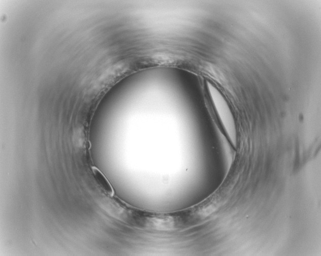 X0000088900317200706221911